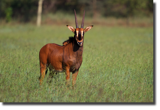 EL7I6607.jpg
