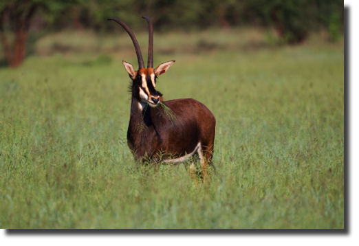 EL7I6628.jpg